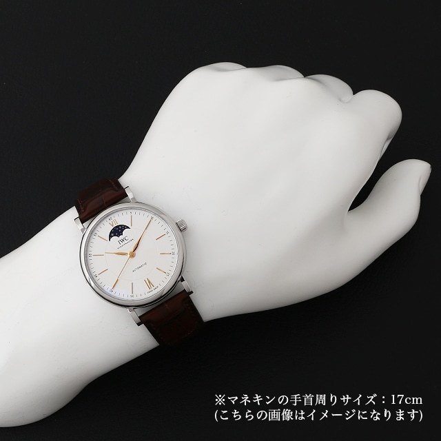 ポートフィノ オートマティック ムーンフェイズ IW459401 サブ画像３