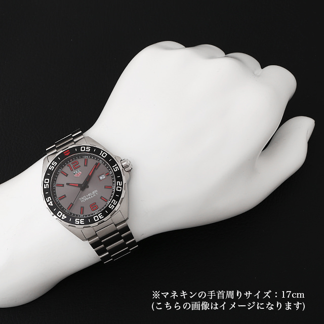 マ*チ様 【新品】正規品 WAZ1010.BA0842 フォーミュラ1 入念 腕時計