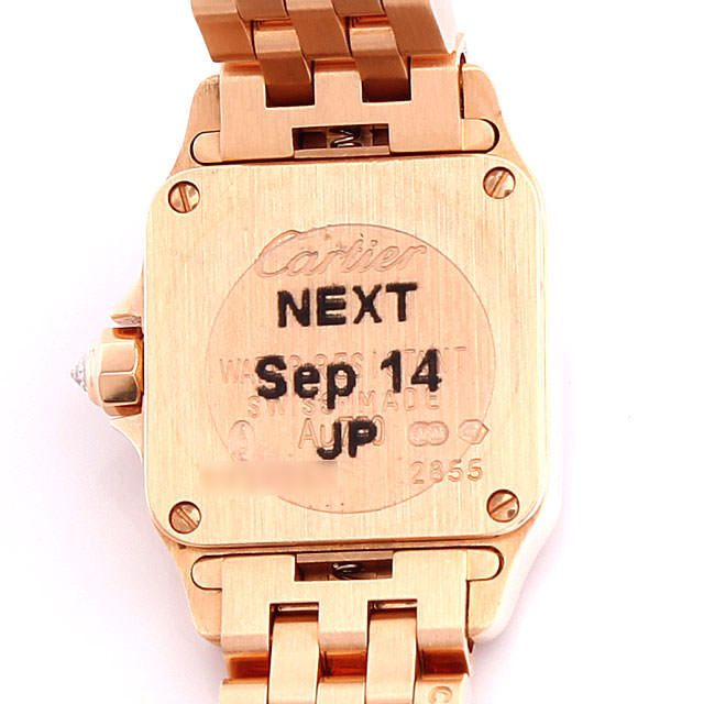 サントス ドゥ モワゼル ミニ ベゼルダイヤ WF9011Z8 サブ画像２