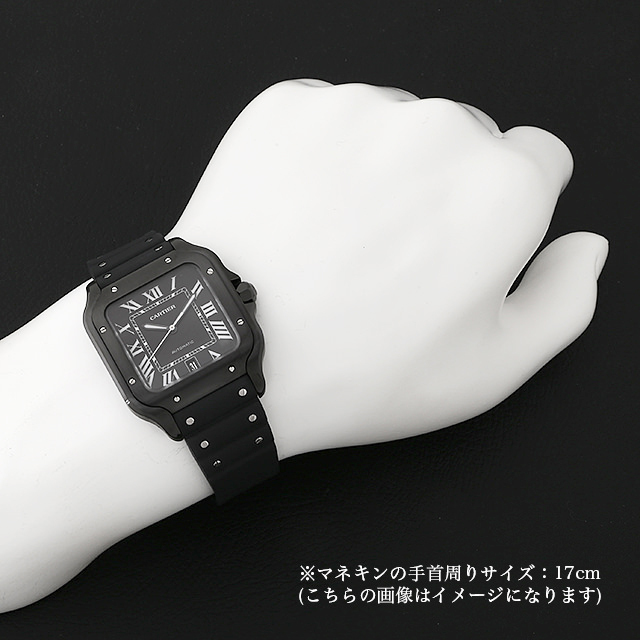 サントス ドゥ カルティエ LM WSSA0039 サブ画像３