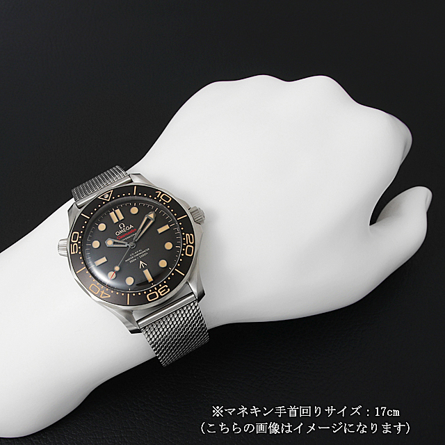 シーマスターダイバー300M コーアクシャル マスタークロノメーター007 210.90.42.20.01.001 サブ画像４