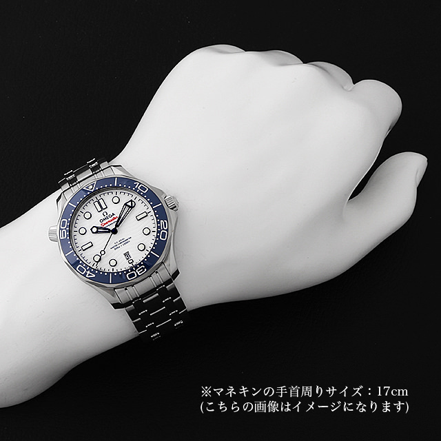 シーマスター ダイバー300M 522.30.42.20.04.001 サブ画像４