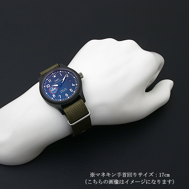パイロットウォッチ マーク18 トップガン “SFTI” IW324712 サブ画像４