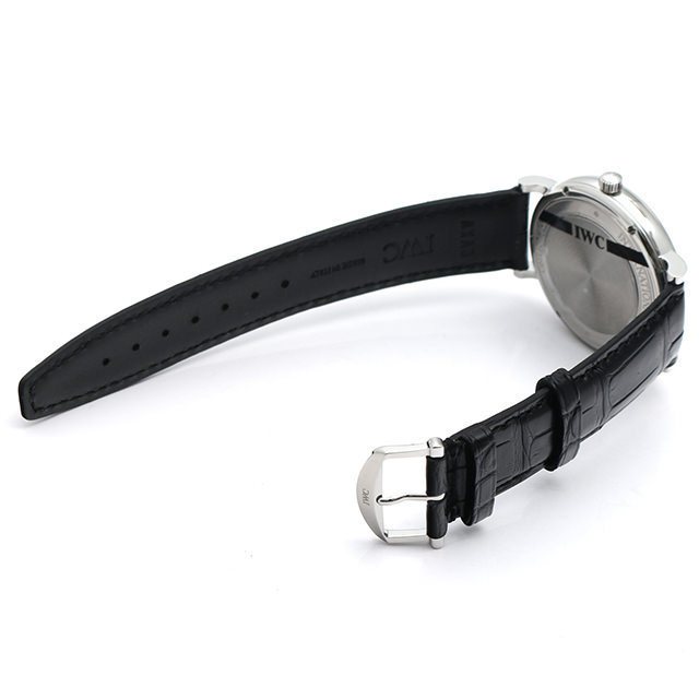 ポートフィノ オートマティック IW356517 サブ画像２