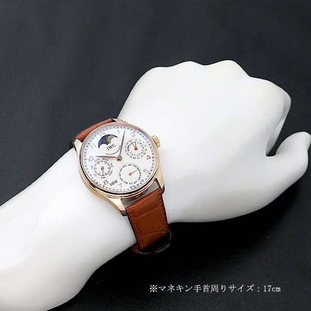 ポルトギーゼ パーペチュアルカレンダー IW502213 サブ画像４