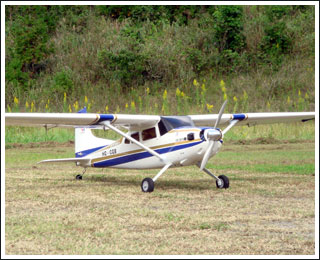 cessna185