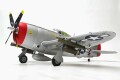 Ｐ－４７ サンダーボルト　ＰＮＰ完成機（Arrows)