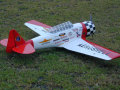 AT-6　テキサン　50