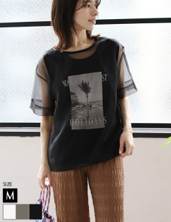 インナーセットシアーオーガンジーTシャツ(15-0549)
