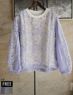 カットレースストライプトップス(KY-25083)