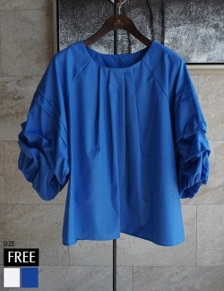 ホイップタックスリーブブラウス(251HS0230)