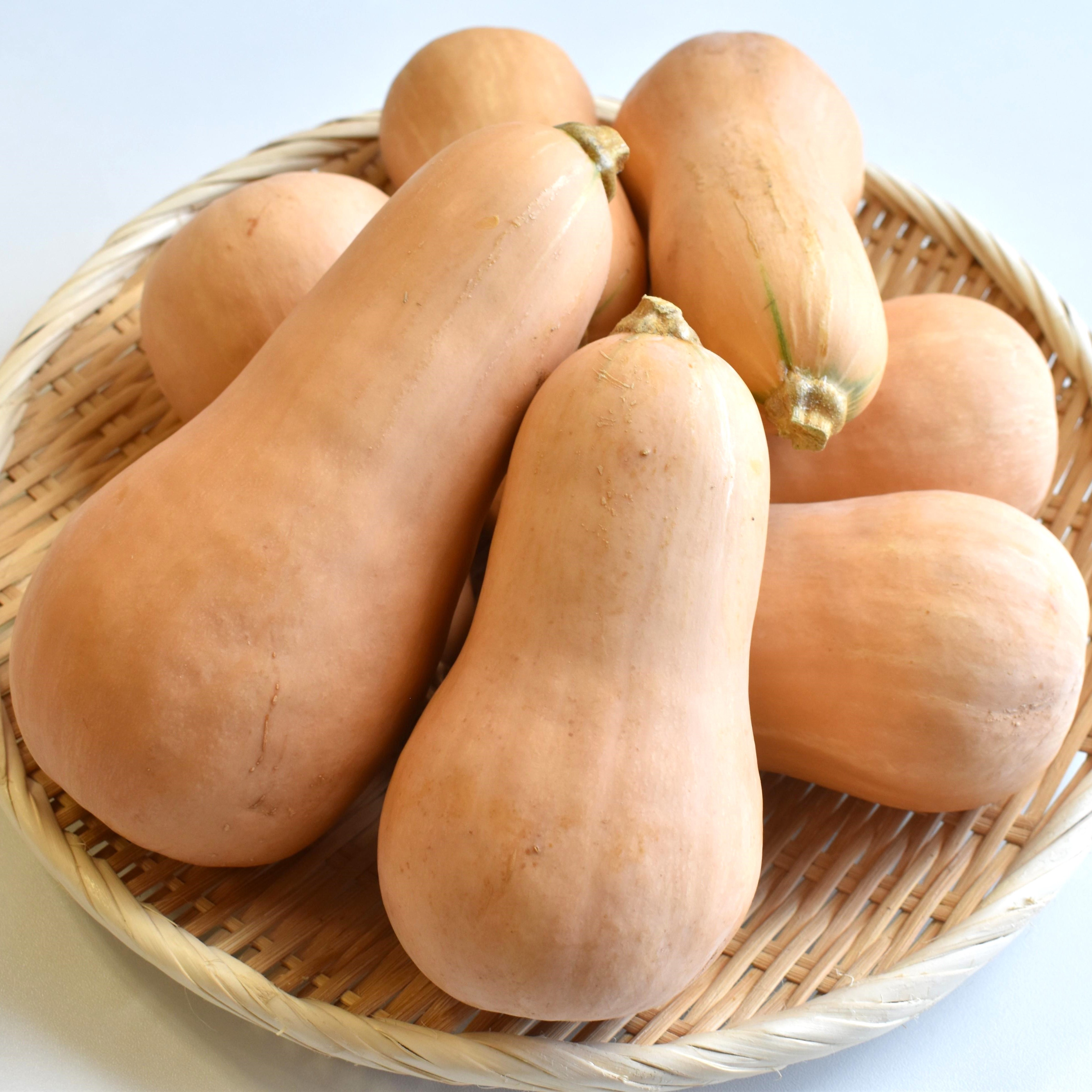 バターナッツ便　2.5kg