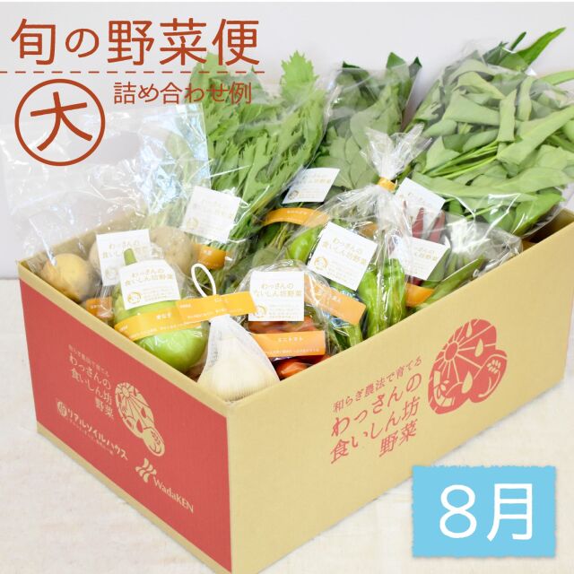 旬の野菜便　8月　梱包画像　大