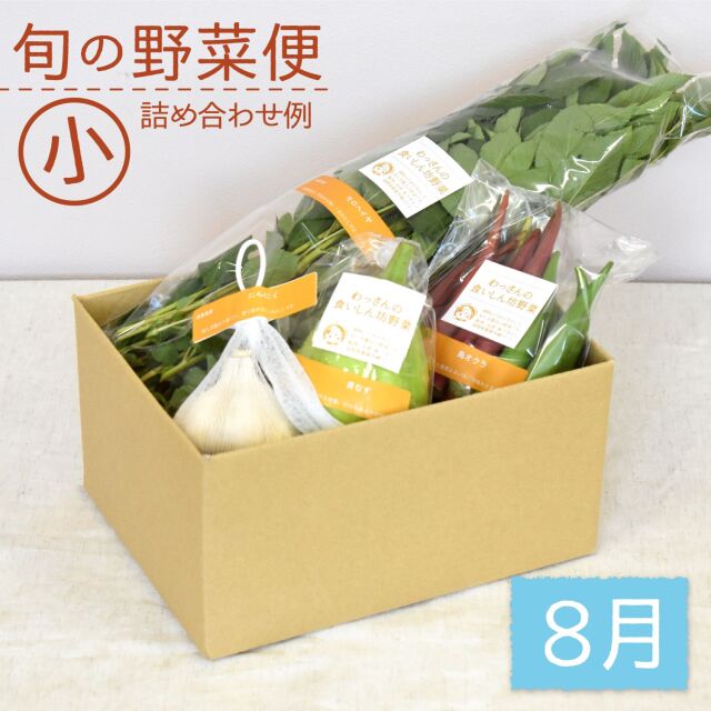 旬の野菜便　8月　梱包画像　小