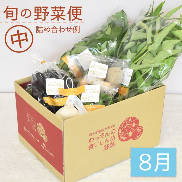 旬の野菜便　8月　梱包画像　中