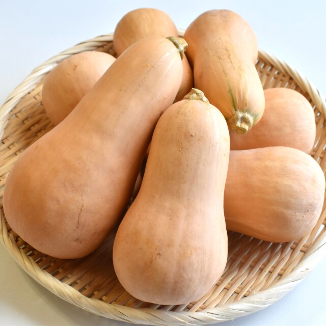 バターナッツ便 2.5kg