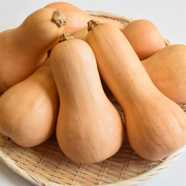 バターナッツ便　5kg