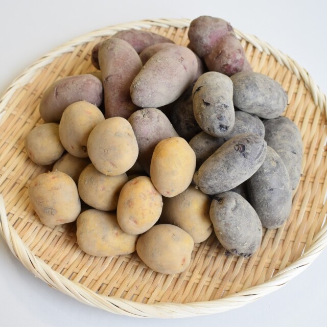 春じゃが食べ比べ便　2.5kg　正方形