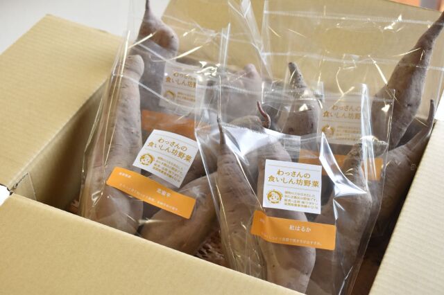 さつまいも食べ比べ便　2.5kg　箱