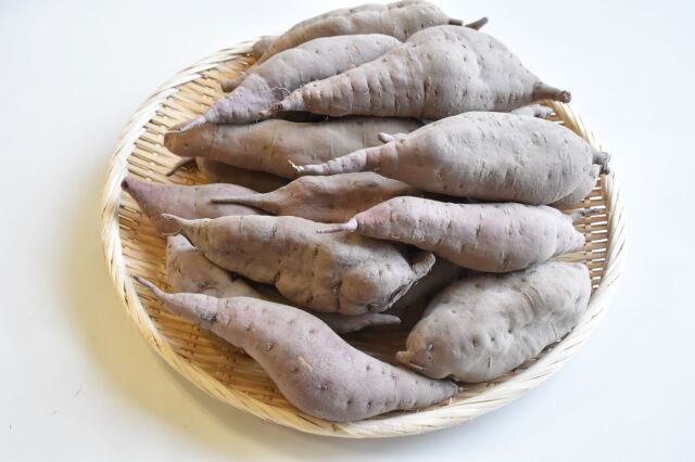 さつまいも食べ比べ便　5kg