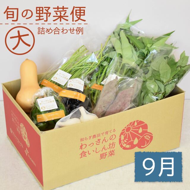 旬の野菜便　9月　梱包画像　大