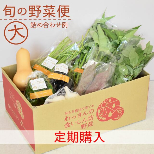 旬の野菜便　9月　梱包画像　大　定期購入