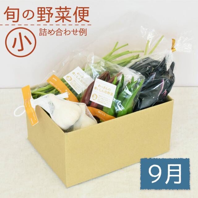 旬の野菜便　9月　梱包画像　小