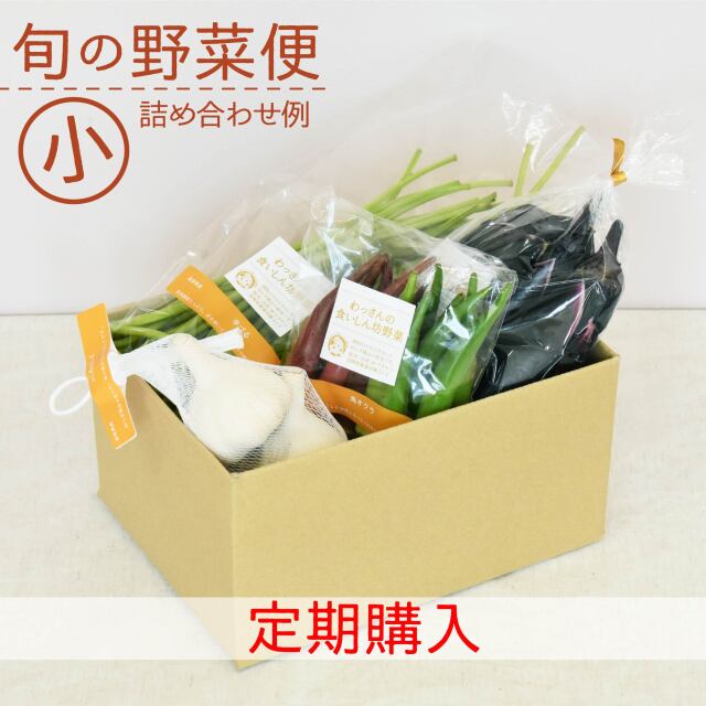 旬の野菜便　9月　梱包画像　小　定期購入
