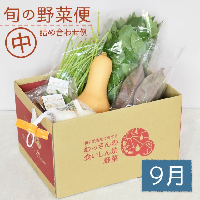 旬の野菜便　9月　梱包画像　中