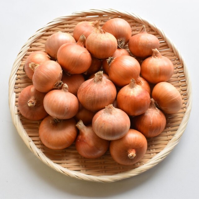 玉ねぎ便　2.5kg