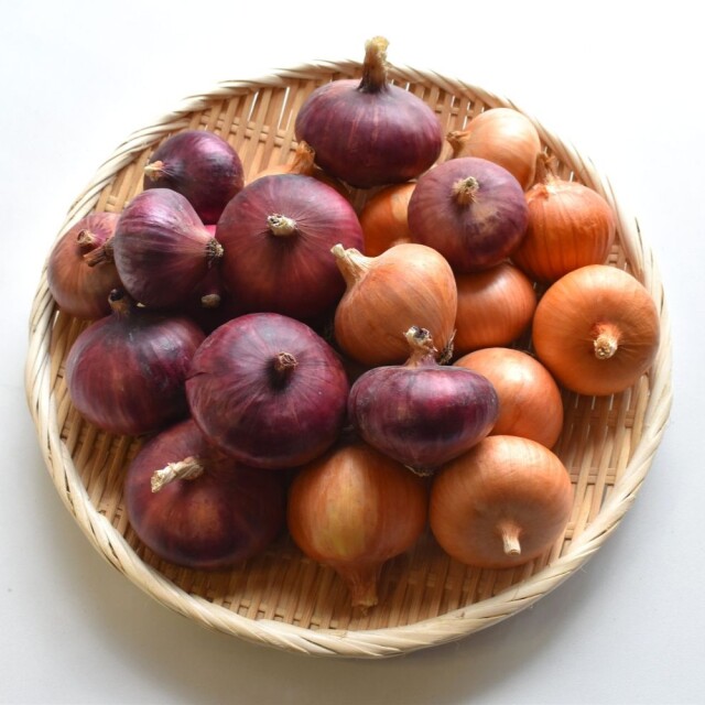玉ねぎ食べ比べ便　2.5kg　正方形