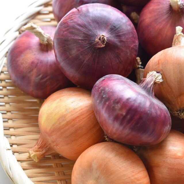 玉ねぎ食べ比べ便　2.5kg　アップ　正方形