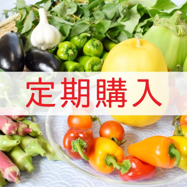 旬の野菜便 夏 トップ 定期購入