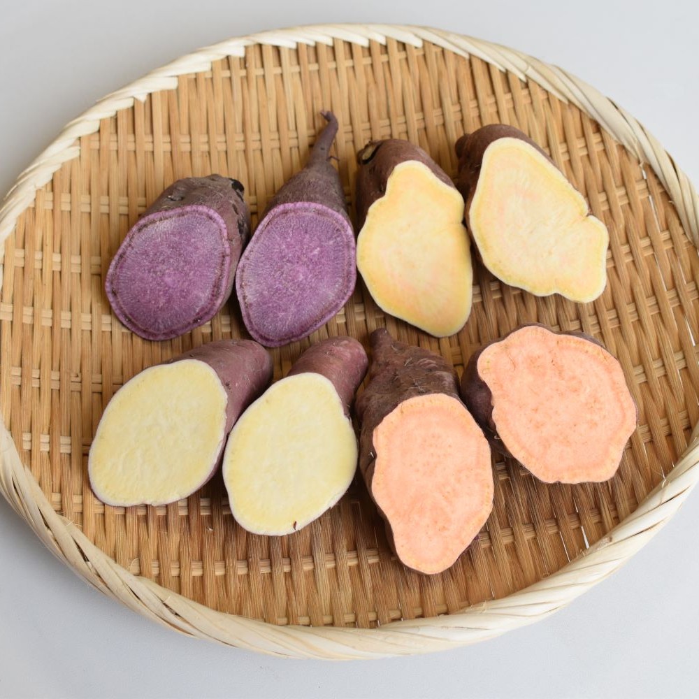 さつまいも食べ比べ便　断面