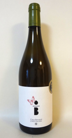 カサ・ベナサル ゲヴュルツトラミネール／モスカテル（白） [2023] カサ・グラン