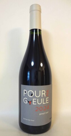 プール・マ・ギュール・ピノ・ノワール [2024] クロ・デ・フ