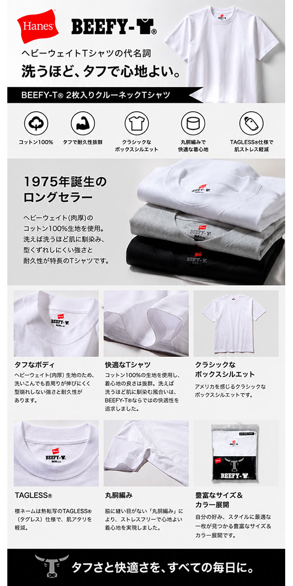 ヘインズ ビーフィー Tシャツ Hanes BEEFY-T 2枚組 メンズ レディース 2P 黒 半袖 厚手 ヘビー クルーネック パックT 無地 H5180-2