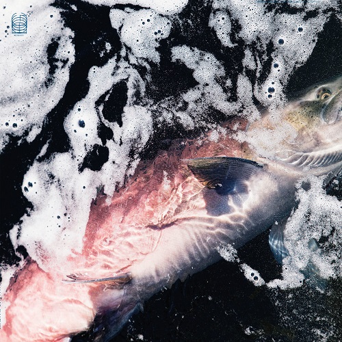 Jessika Kenney & Eyvind Kang / Azure