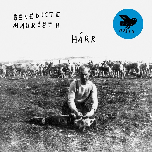 Benedicte Maurseth / Harr