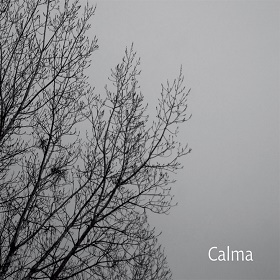 Carlos Aguirre Trio / Calma