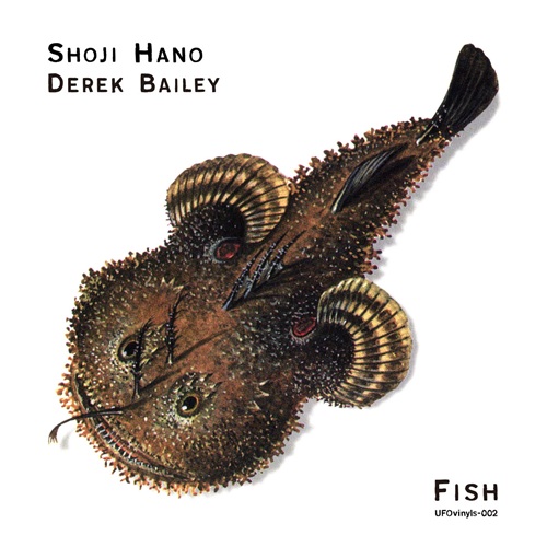 Shoji Hano 羽野昌二 & Derek Bailey / Fish