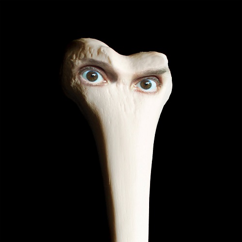 Juana Molina / Segundo 21周年記念盤 未開封新品 Juana Molina/Segundo