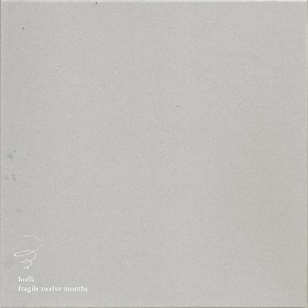hofli / 十二ヶ月のフラジャイル