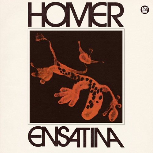 Homer / Ensatina