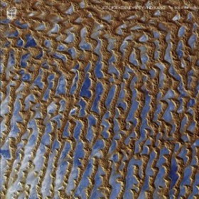 Jessika Kenney & Eyvind Kang / The Face Of The Earth