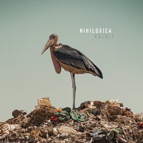 Nihiloxica / Kaloli