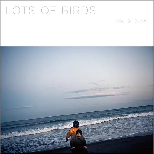 Koji Shibuya (澁谷浩次) / Lots of Birds