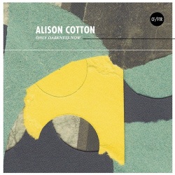 Alison Cotton / Only Darkness Now