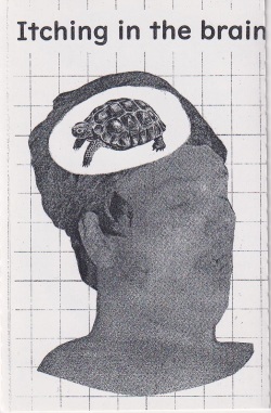 AMENONUVOCO / Itching in the Brain