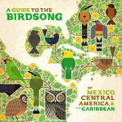 VA / A Guide to the Birdsong of Mexico, Central America & the Caribbean